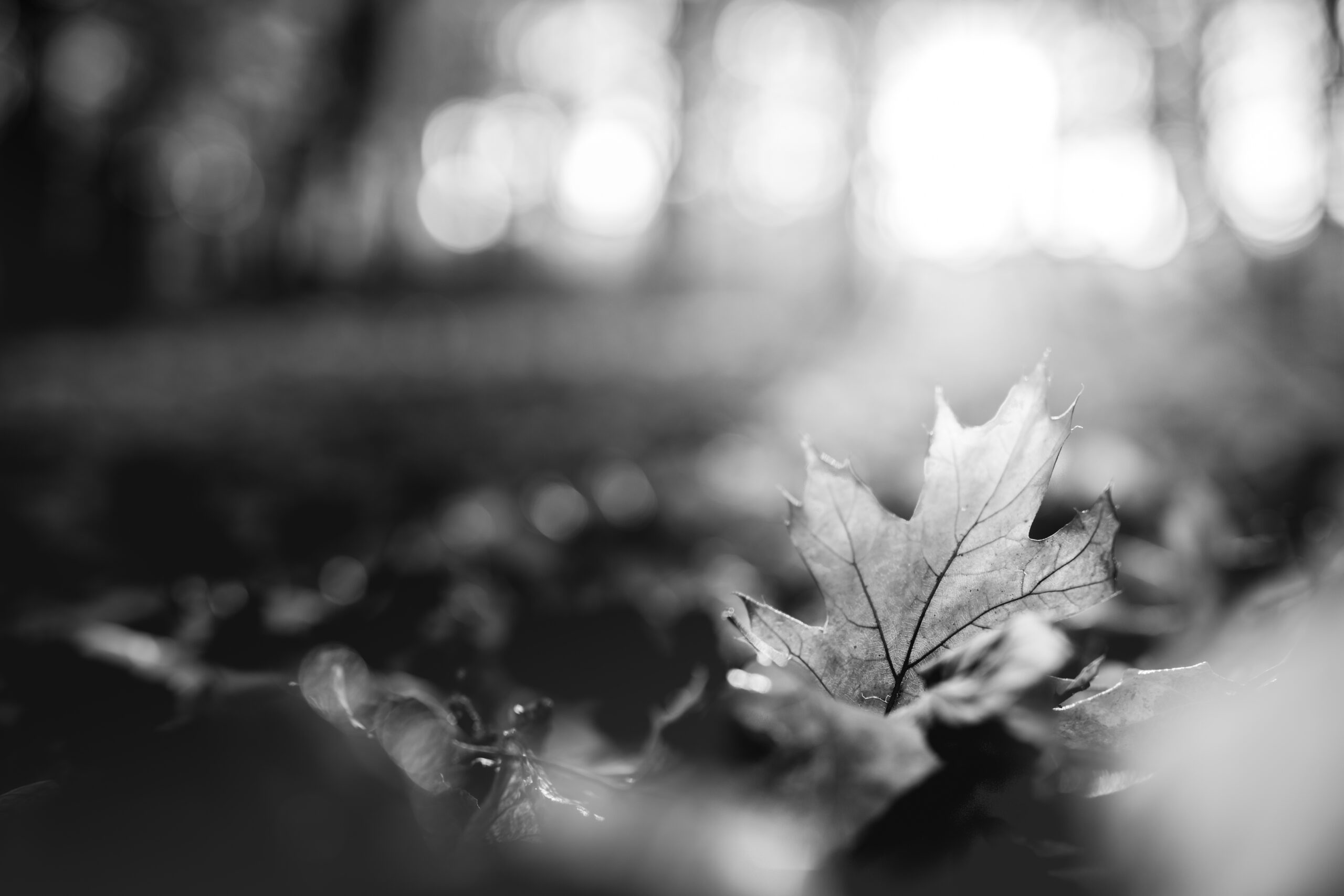 autumn safety awareness 